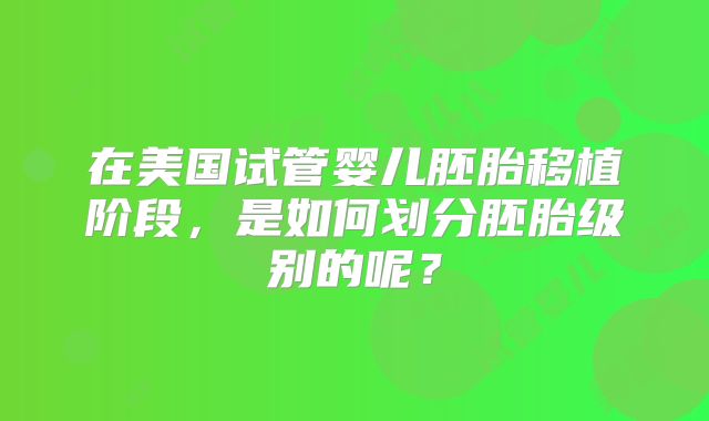 在美国试管婴儿胚胎移植阶段,是如何划分胚胎级别的呢?