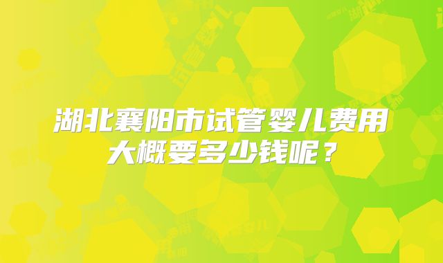 湖北襄阳市试管婴儿费用大概要多少钱呢？