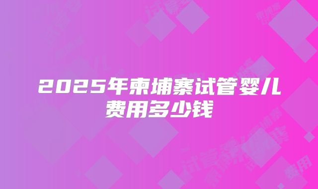 2025年柬埔寨试管婴儿费用多少钱