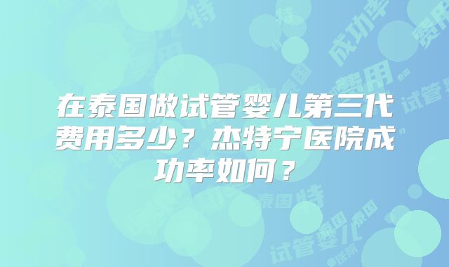 在泰国做试管婴儿第三代费用多少？杰特宁医院成功率如何？