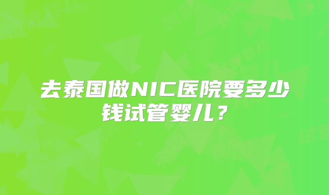 去泰国做NIC医院要多少钱试管婴儿?