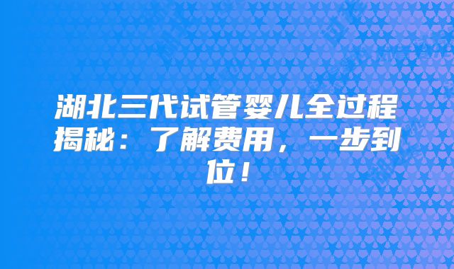 湖北三代试管婴儿全过程揭秘:了解费用,一步到位!