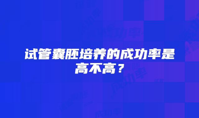 试管囊胚培养的成功率是高不高?