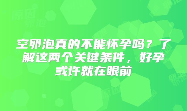 空卵泡真的不能怀孕吗?了解这两个关键条件,好孕或许就在眼前