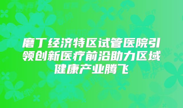 磨丁经济特区试管医院引领创新医疗前沿助力区域健康产业腾飞