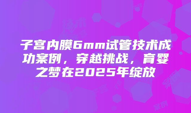 子宫内膜6mm试管技术成功案例，穿越挑战，育婴之梦在2025年绽放