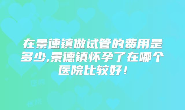 在景德镇做试管的费用是多少,景德镇怀孕了在哪个医院比较好！