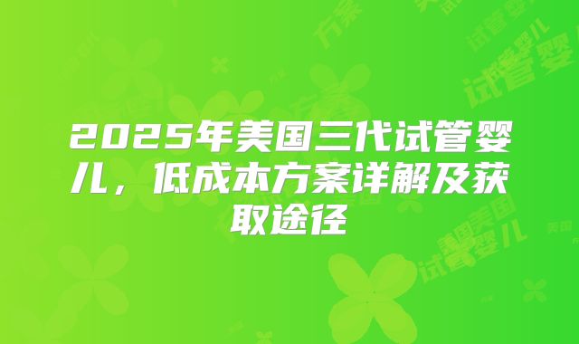 2025年美国三代试管婴儿,低成本方案详解及获取途径