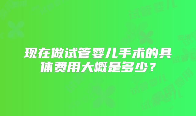 现在做试管婴儿手术的具体费用大概是多少？