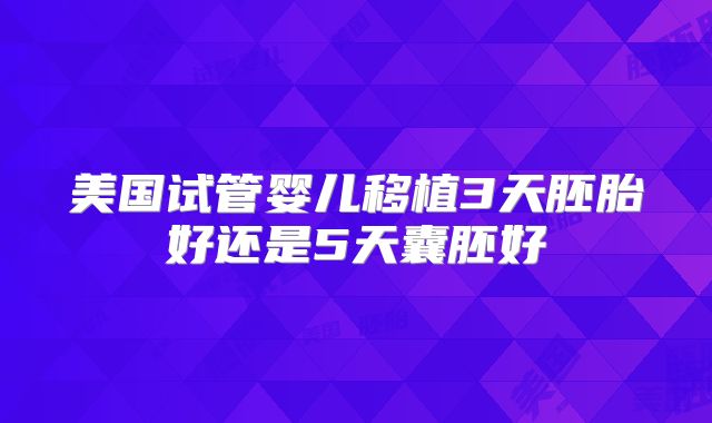美国试管婴儿移植3天胚胎好还是5天囊胚好