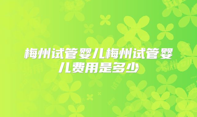 梅州试管婴儿梅州试管婴儿费用是多少