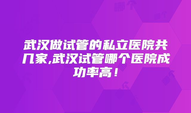 武汉做试管的私立医院共几家,武汉试管哪个医院成功率高!
