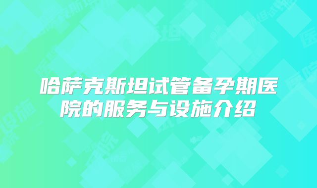 哈萨克斯坦试管备孕期医院的服务与设施介绍