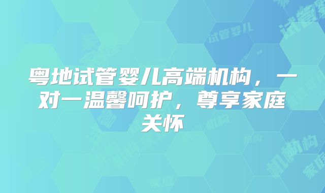 粤地试管婴儿高端机构,一对一温馨呵护,尊享家庭关怀