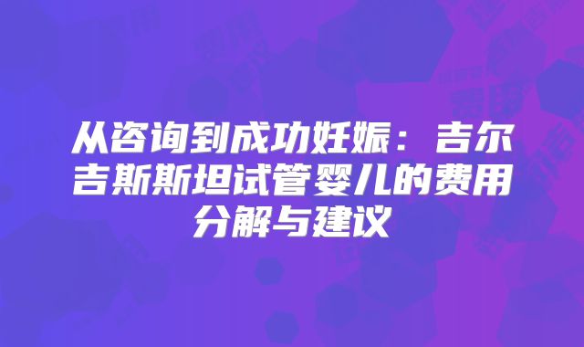 从咨询到成功妊娠:吉尔吉斯斯坦试管婴儿的费用分解与建议