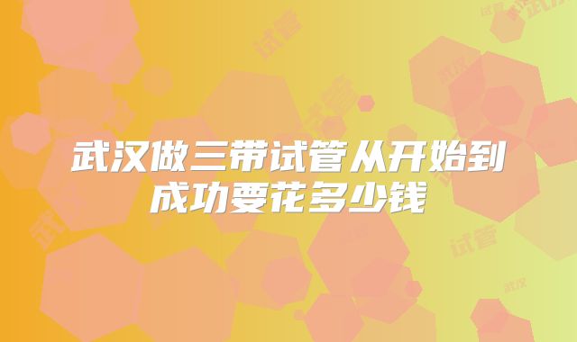 武汉做三带试管从开始到成功要花多少钱