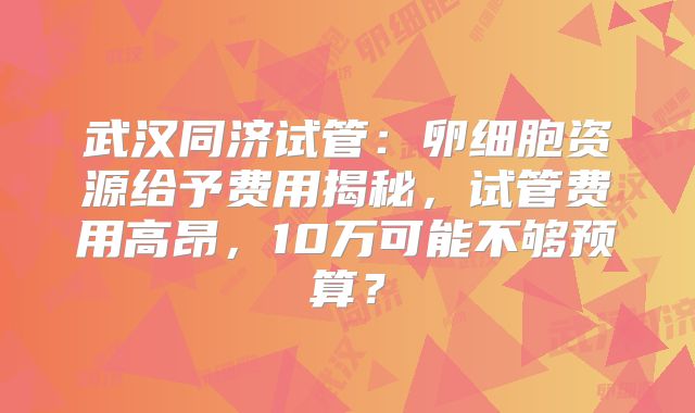 武汉同济试管：卵细胞资源给予费用揭秘，试管费用高昂，10万可能不够预算？