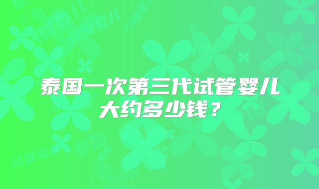 泰国一次第三代试管婴儿大约多少钱?