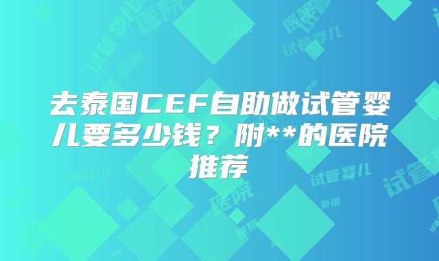 去泰国CEF自助做试管婴儿要多少钱？附**的医院推荐