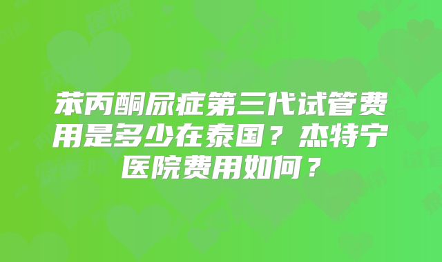苯丙酮尿症第三代试管费用是多少在泰国?杰特宁医院费用如何?