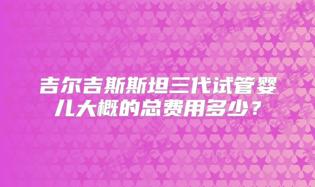 吉尔吉斯斯坦三代试管婴儿大概的总费用多少？