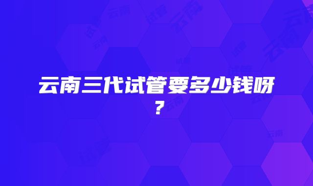 云南三代试管要多少钱呀?