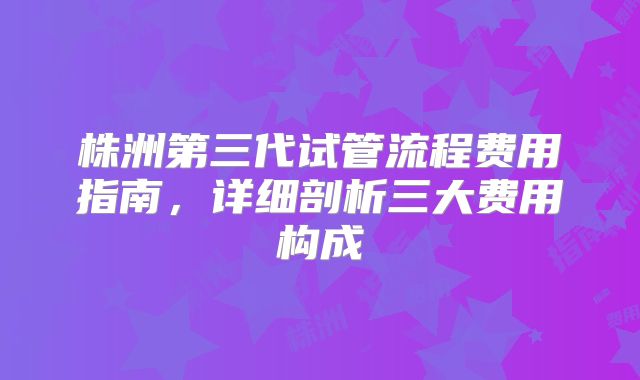株洲第三代试管流程费用指南,详细剖析三大费用构成