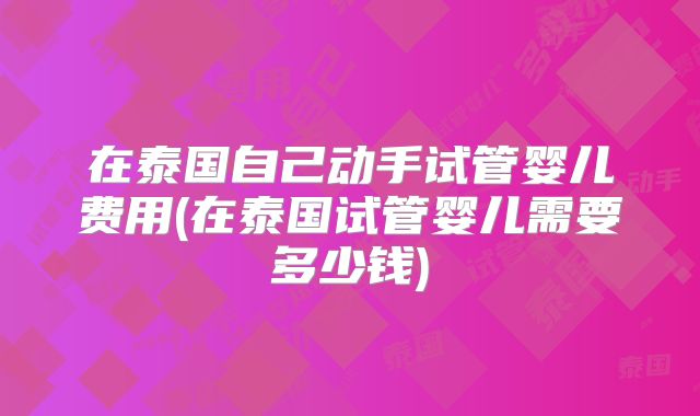 在泰国自己动手试管婴儿费用(在泰国试管婴儿需要多少钱)