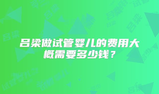 吕梁做试管婴儿的费用大概需要多少钱?