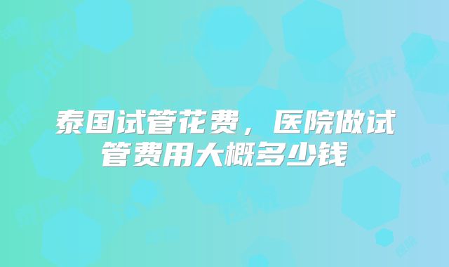 泰国试管花费,医院做试管费用大概多少钱