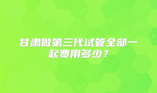 甘肃做第三代试管全部一起费用多少？