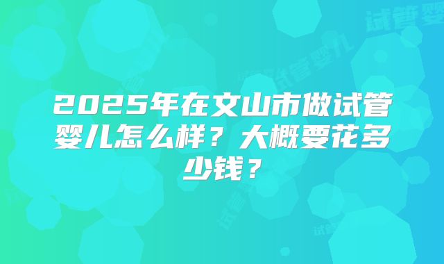 2025年在文山市做试管婴儿怎么样?大概要花多少钱?