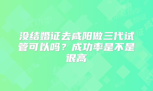 没结婚证去咸阳做三代试管可以吗？成功率是不是很高