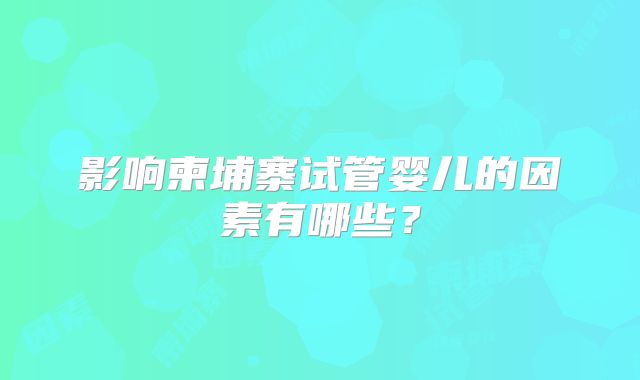 影响柬埔寨试管婴儿的因素有哪些？