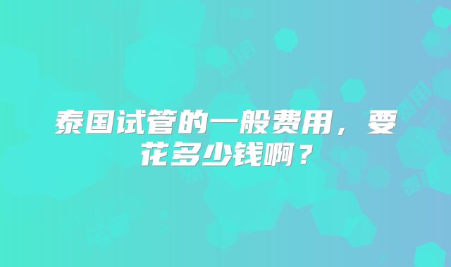 泰国试管的一般费用，要花多少钱啊？