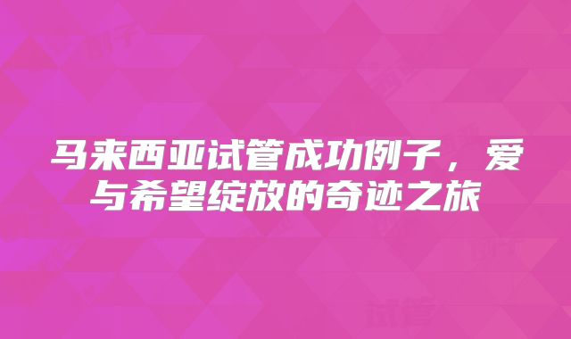马来西亚试管成功例子,爱与希望绽放的奇迹之旅