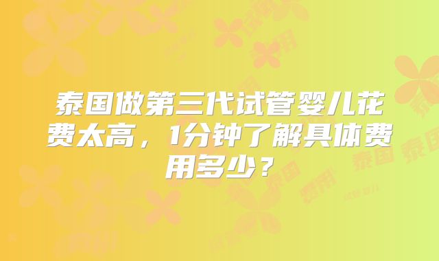 泰国做第三代试管婴儿花费太高,1分钟了解具体费用多少?