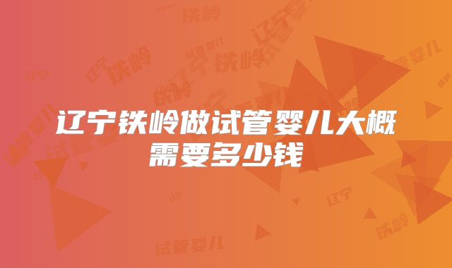 辽宁铁岭做试管婴儿大概需要多少钱