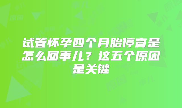试管怀孕四个月胎停育是怎么回事儿?这五个原因是关键