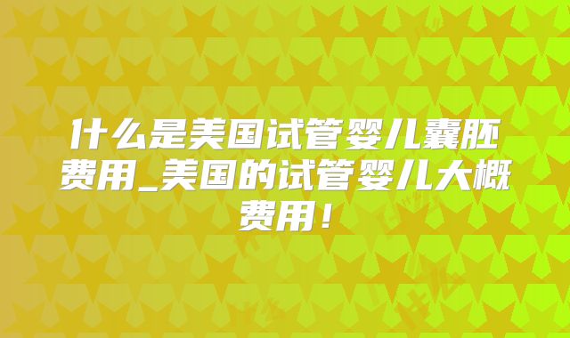 什么是美国试管婴儿囊胚费用_美国的试管婴儿大概费用!