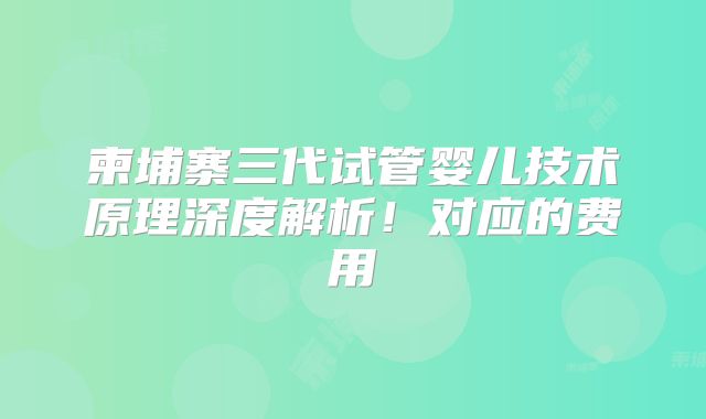 柬埔寨三代试管婴儿技术原理深度解析!对应的费用