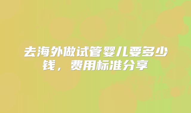 去海外做试管婴儿要多少钱,费用标准分享