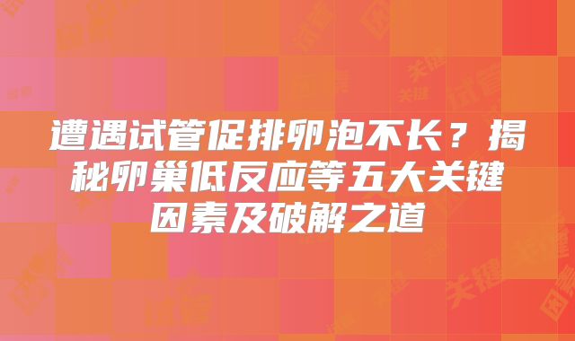 遭遇试管促排卵泡不长？揭秘卵巢低反应等五大关键因素及破解之道