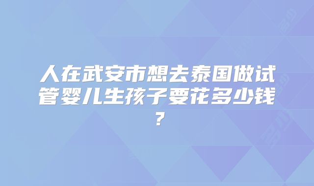 人在武安市想去泰国做试管婴儿生孩子要花多少钱?