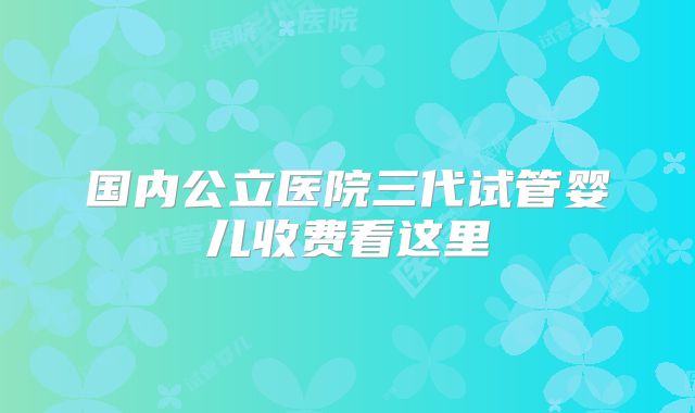 国内公立医院三代试管婴儿收费看这里
