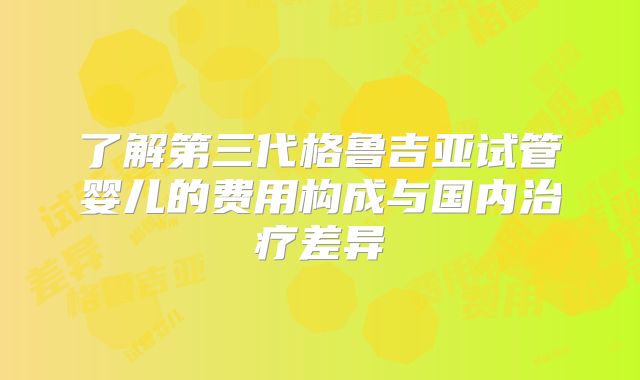 了解第三代格鲁吉亚试管婴儿的费用构成与国内治疗差异