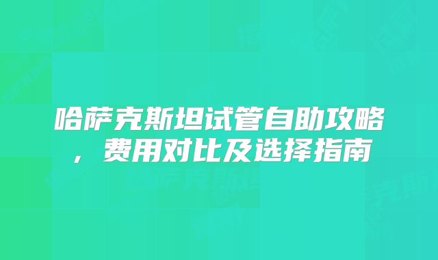 哈萨克斯坦试管自助攻略,费用对比及选择指南