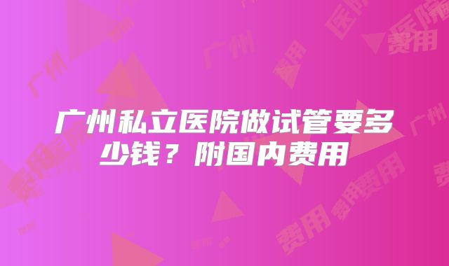 广州私立医院做试管要多少钱？附国内费用