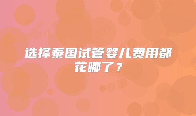 选择泰国试管婴儿费用都花哪了？