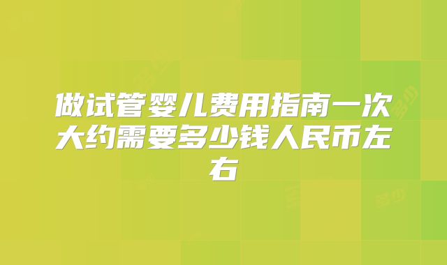 做试管婴儿费用指南一次大约需要多少钱人民币左右